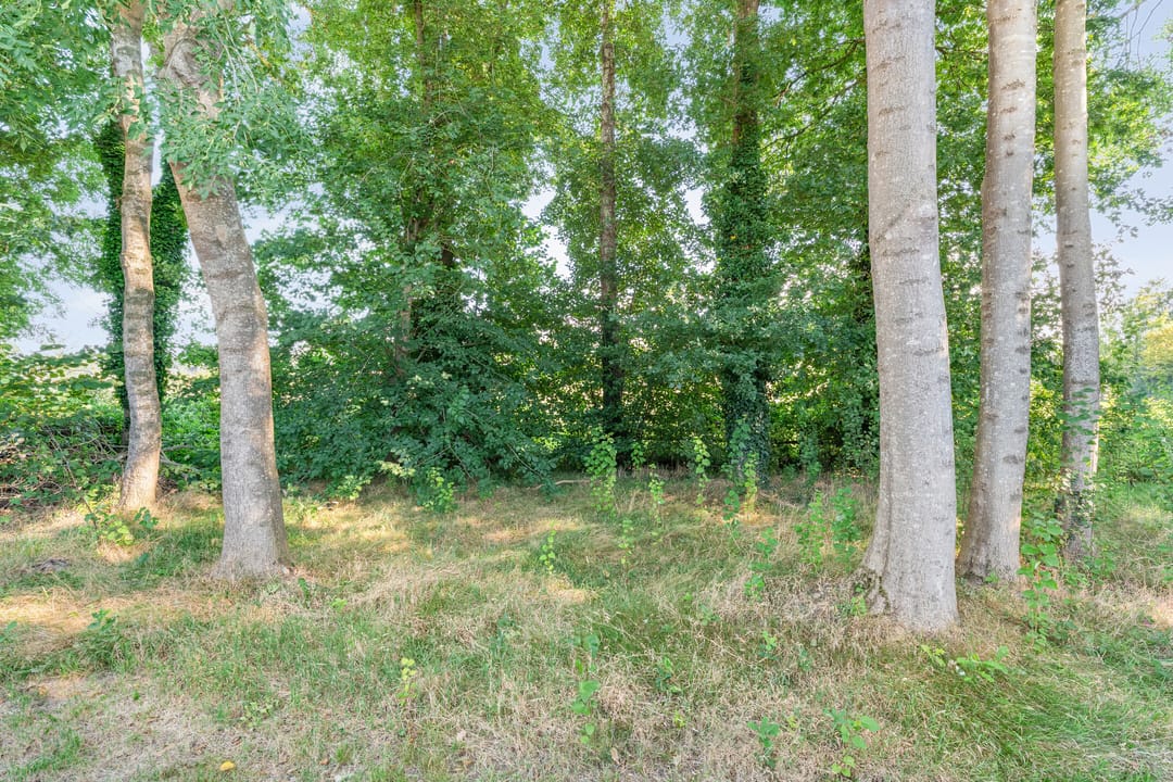 Foto 56 van 't Sumpel 52