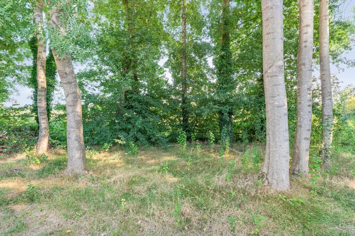 Foto 56 van 't Sumpel 52