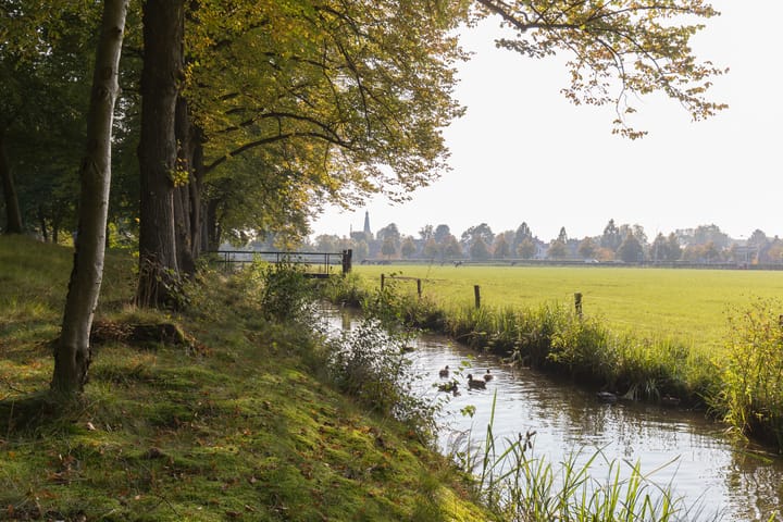 Foto 52 van Jacob Catsstraat 12