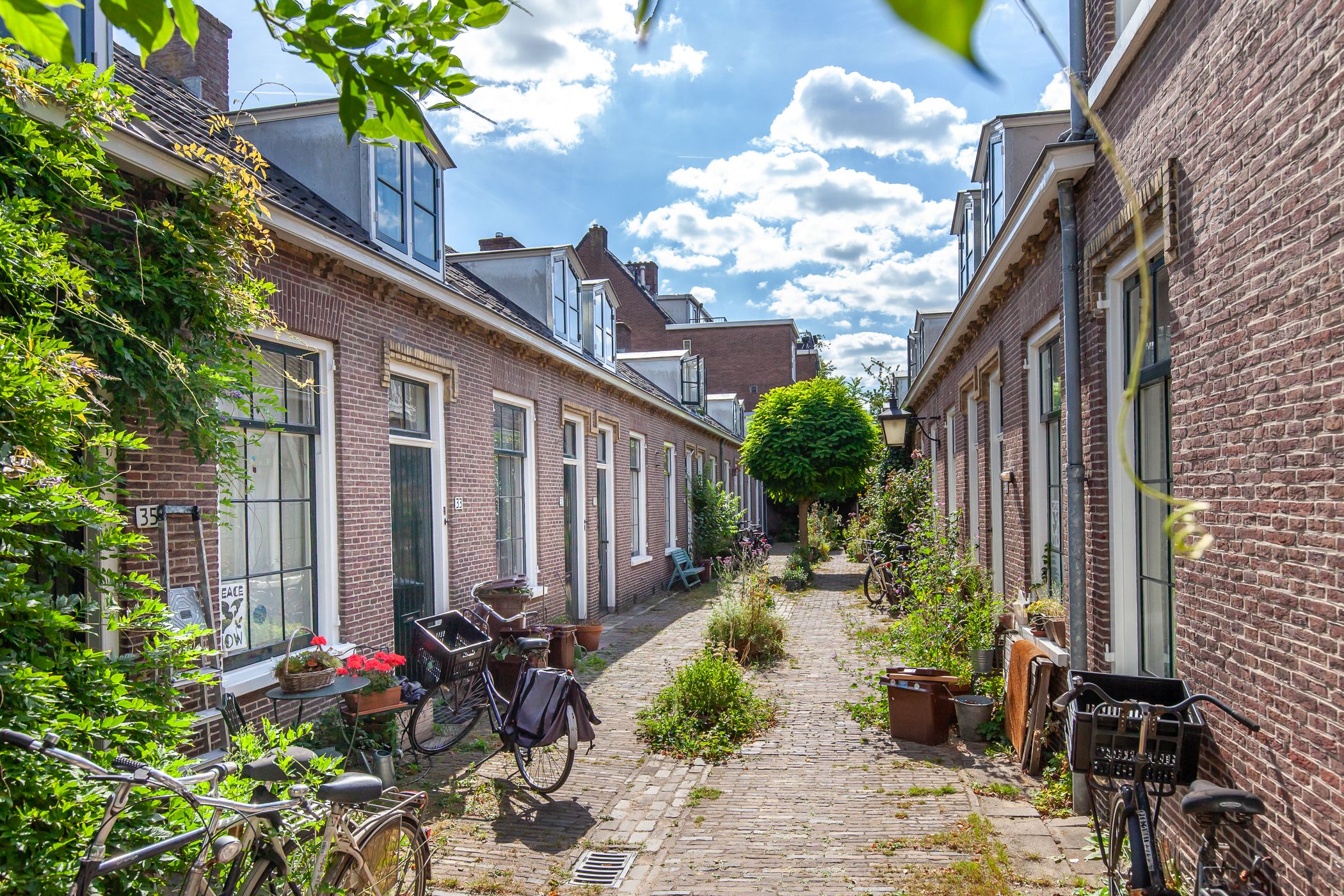 Foto 30 van Moesstraat 11