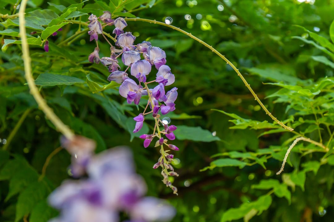 Foto 32 van Moesstraat 11