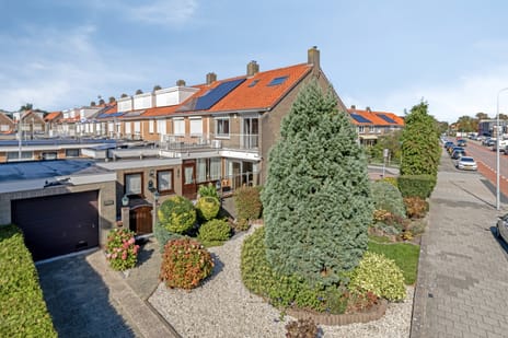 undefined main image