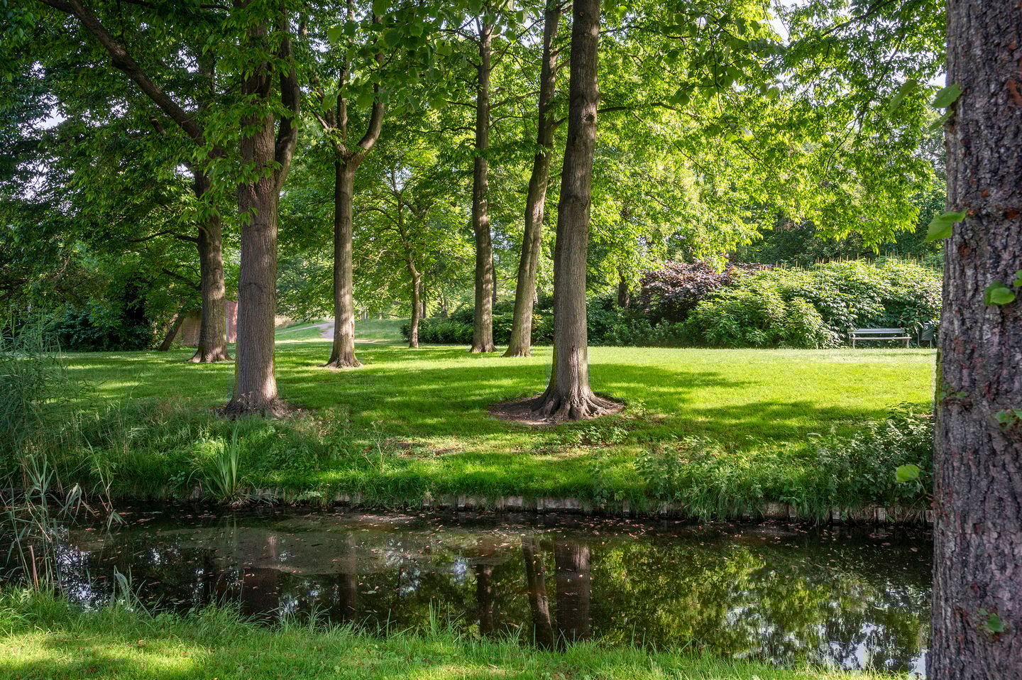 Foto 35 van Hofsingel 32