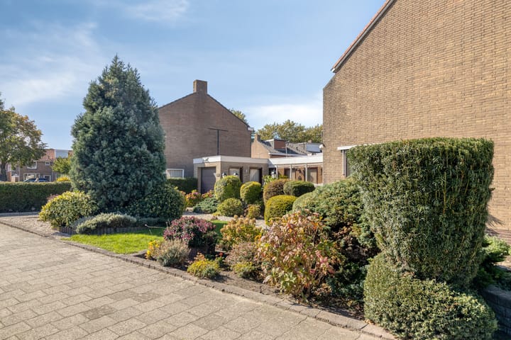 Foto 20 van Anjelierenstraat 1