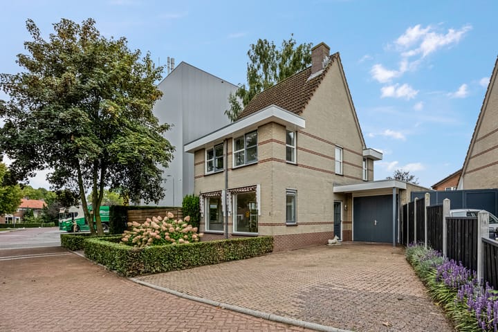 Foto 6 van Molenpark 1