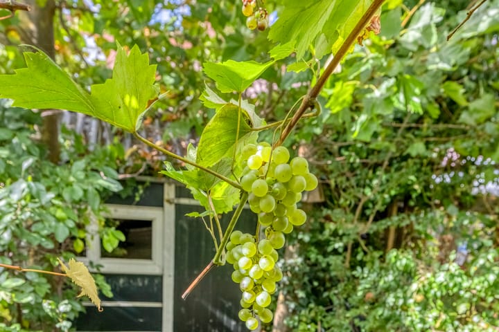 Foto 24 van Boergoensevliet 125