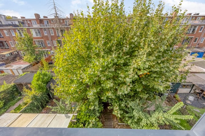 Foto 51 van Boergoensevliet 125