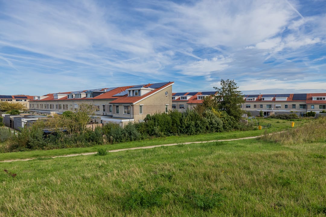 Photo 41 of Zandhaver 25