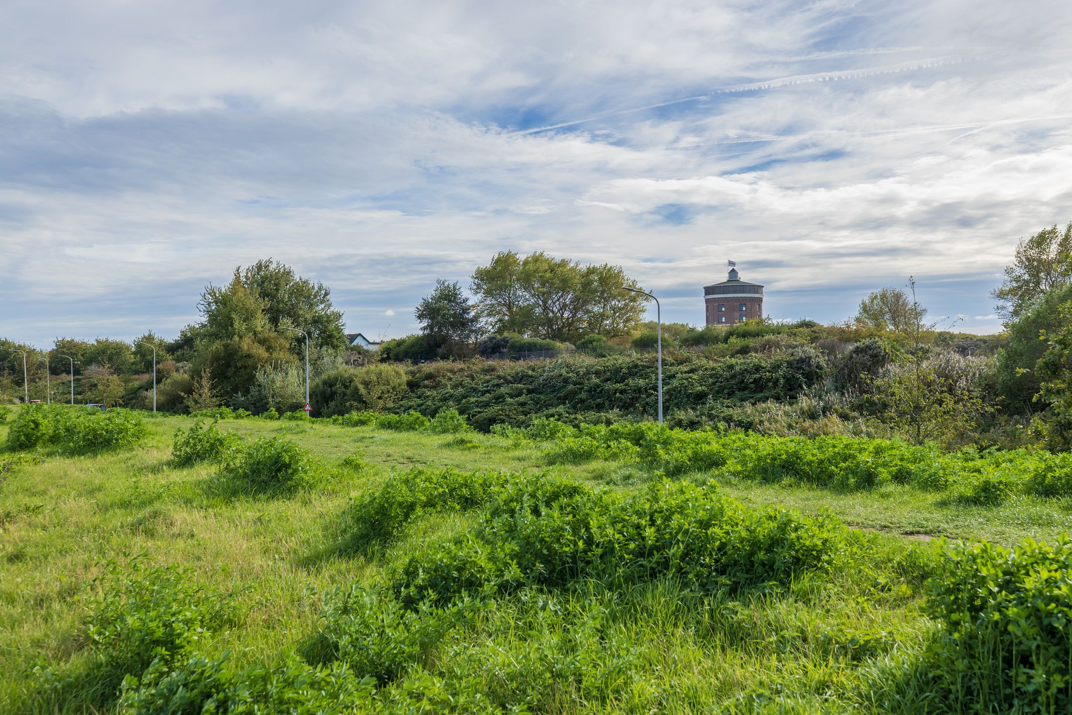 Photo 42 of Zandhaver 25
