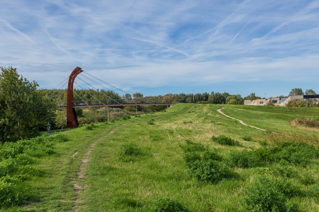 Photo 43 of Zandhaver 25