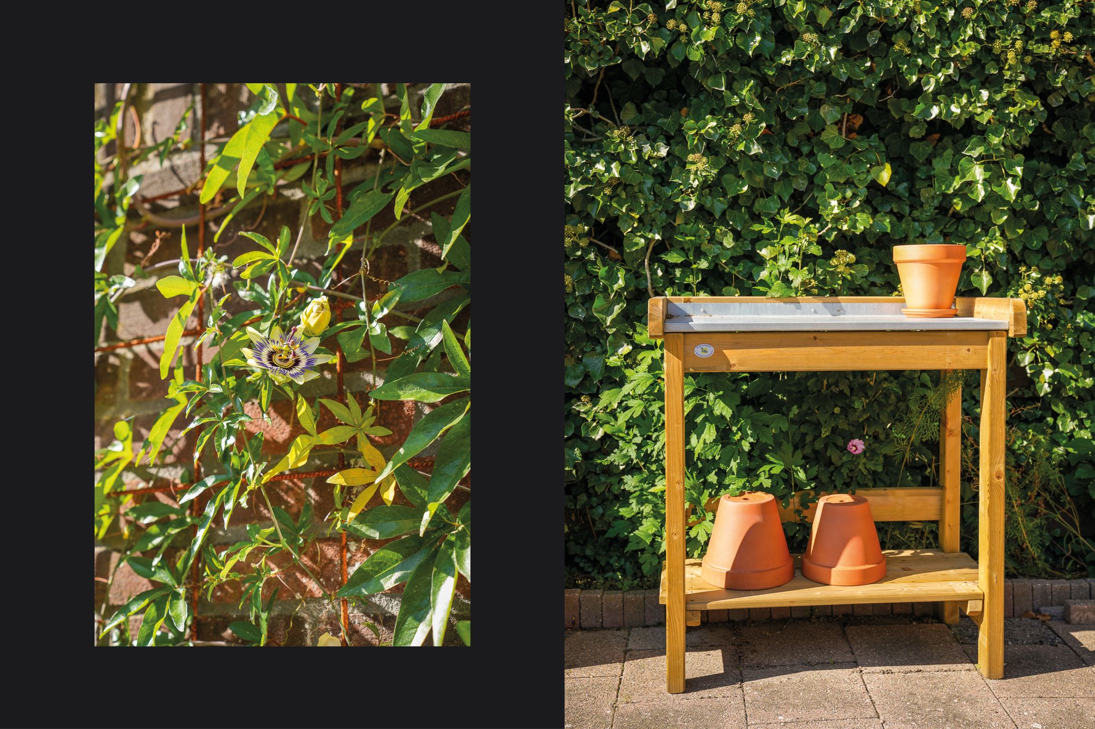 Foto 30 van Koningin Wilhelminalaan 41