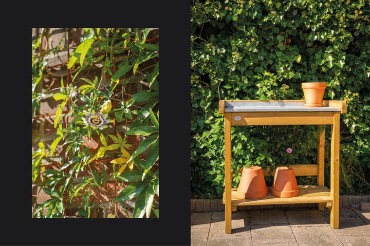 Photo 30 of Koningin Wilhelminalaan 41