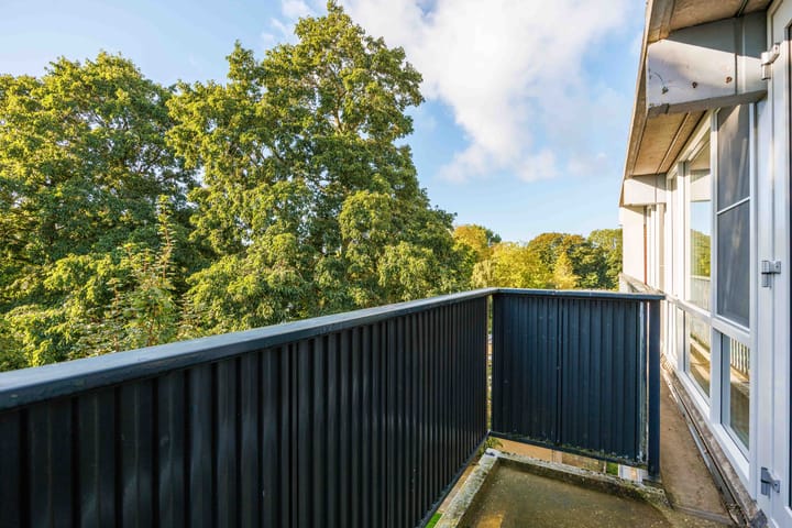 Foto 19 van Meerpaal 89