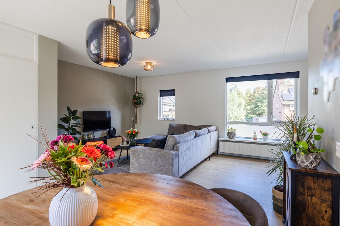 Photo 14 of Biezen 49-B