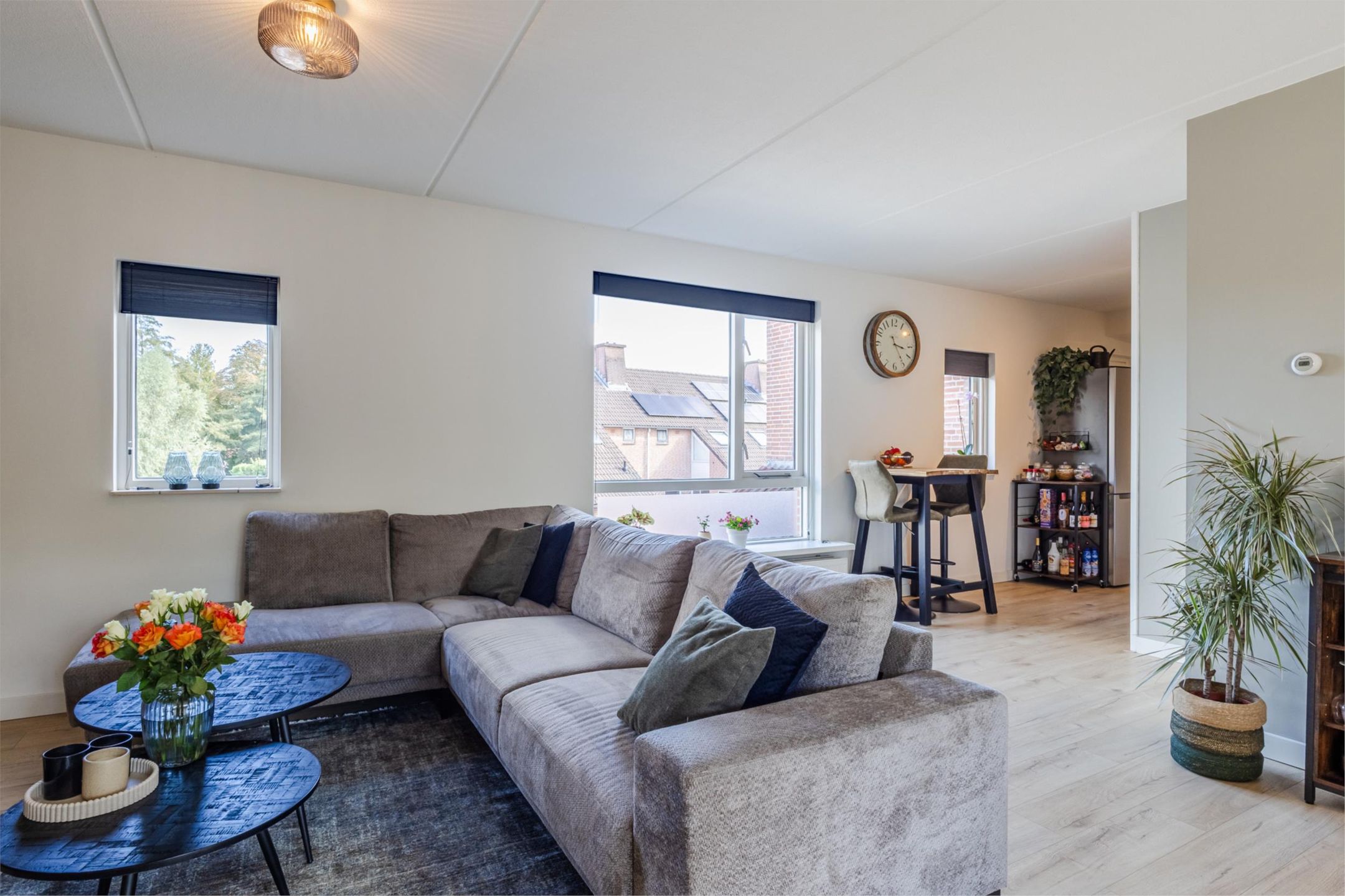 Photo 18 of Biezen 49-B