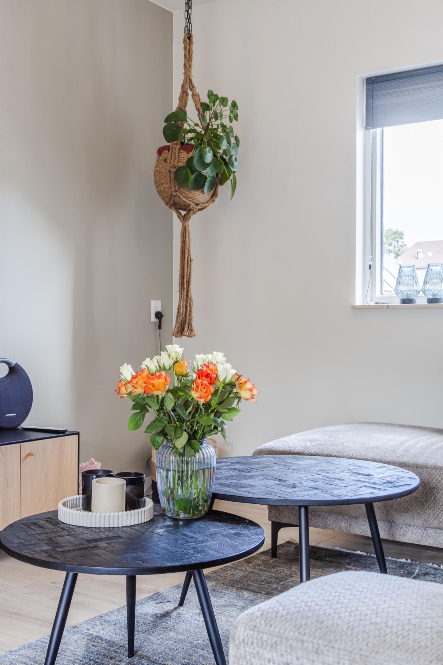 Photo 19 of Biezen 49-B