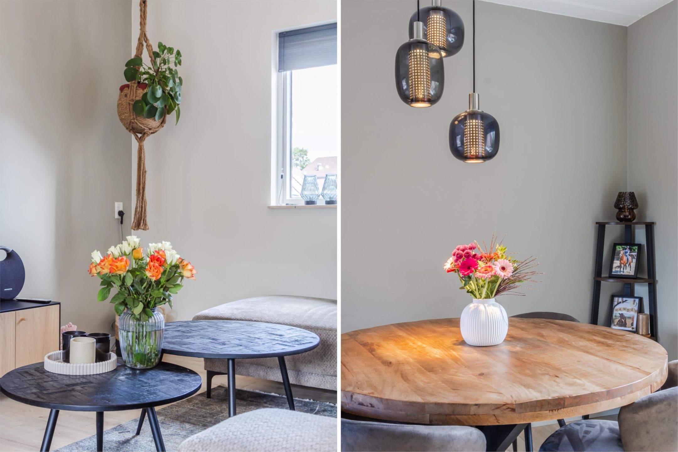 Photo 21 of Biezen 49-B