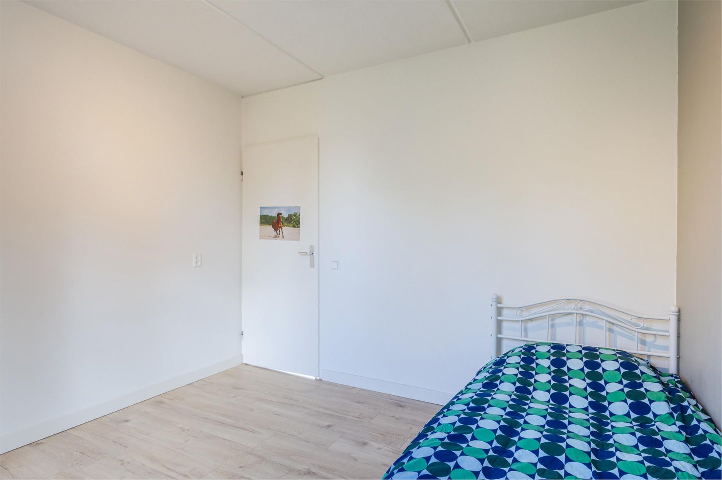 Photo 29 of Biezen 49-B