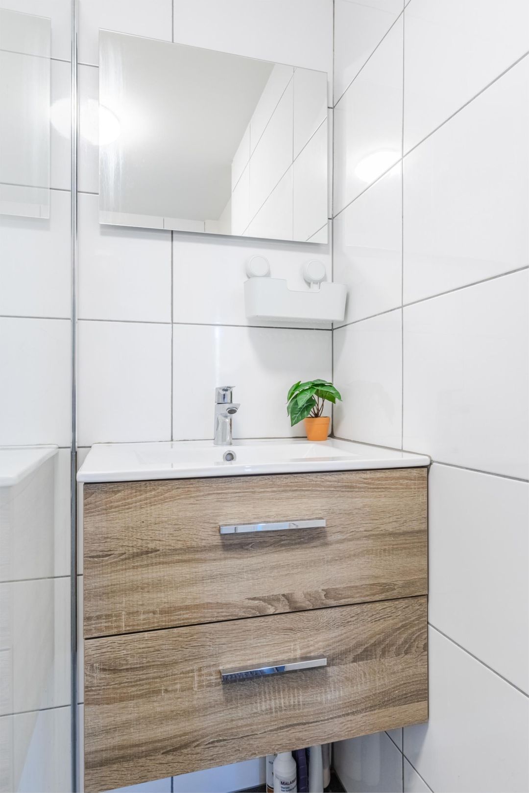 Photo 32 of Biezen 49-B