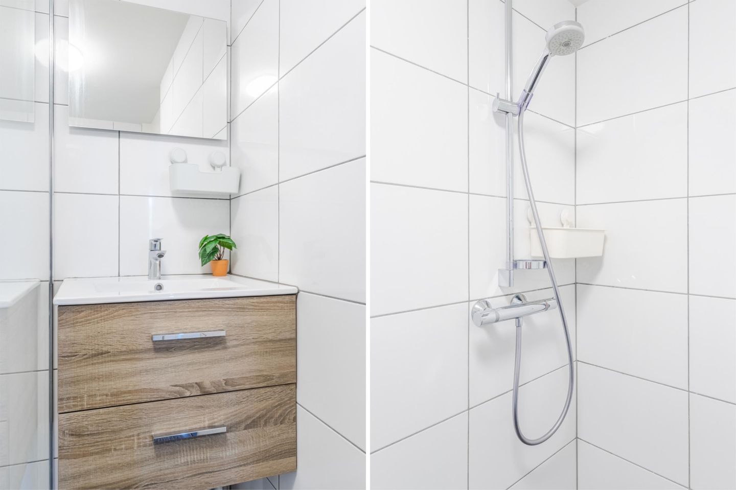 Photo 34 of Biezen 49-B