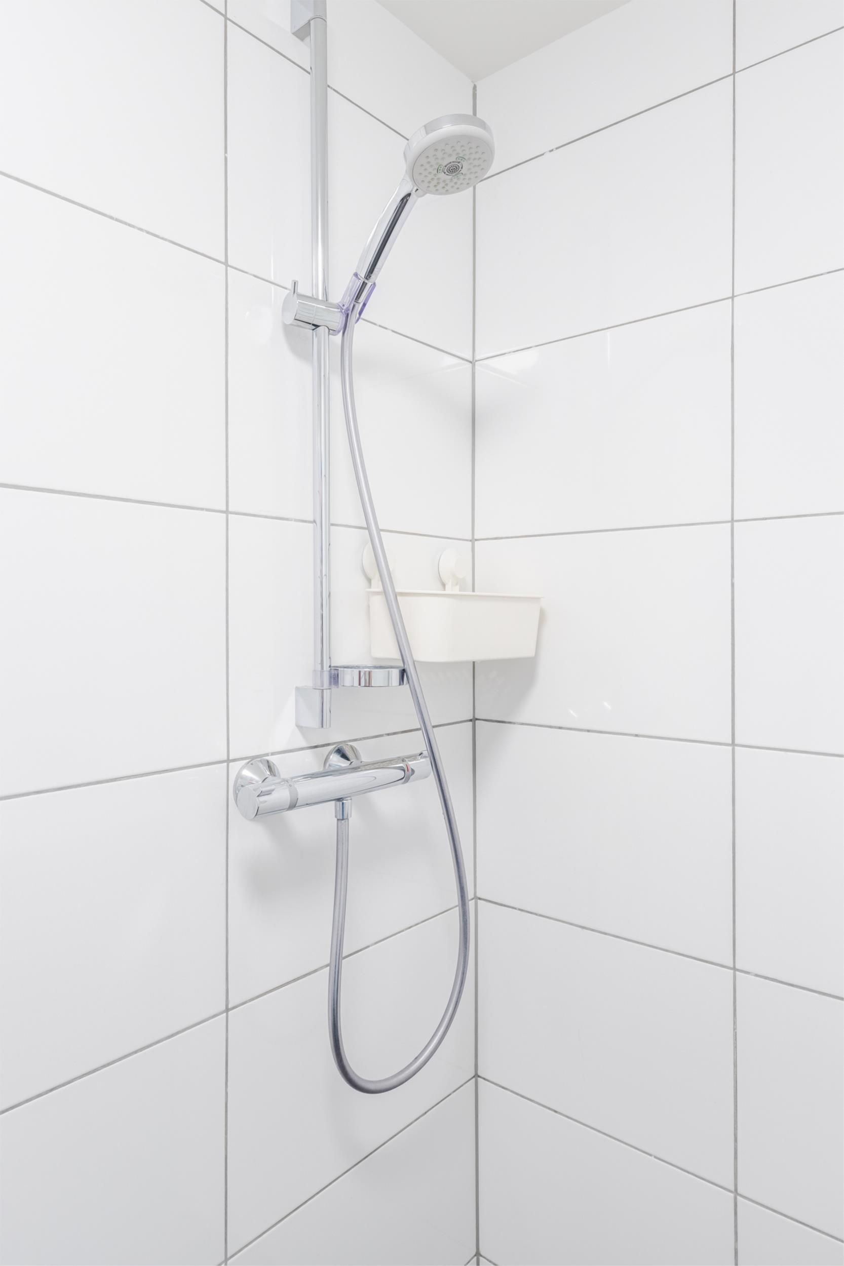 Photo 33 of Biezen 49-B