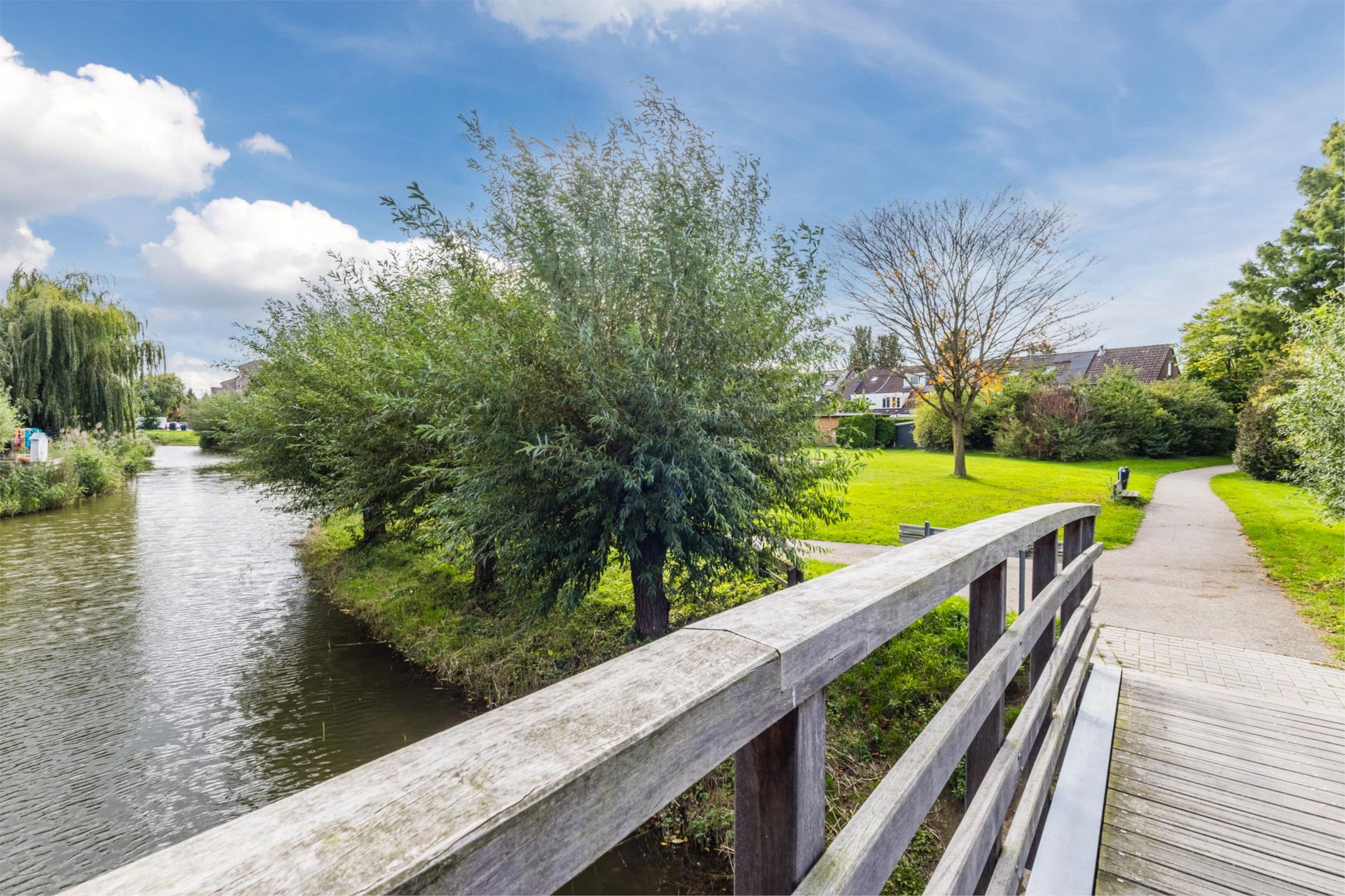 Photo 45 of Biezen 49-B