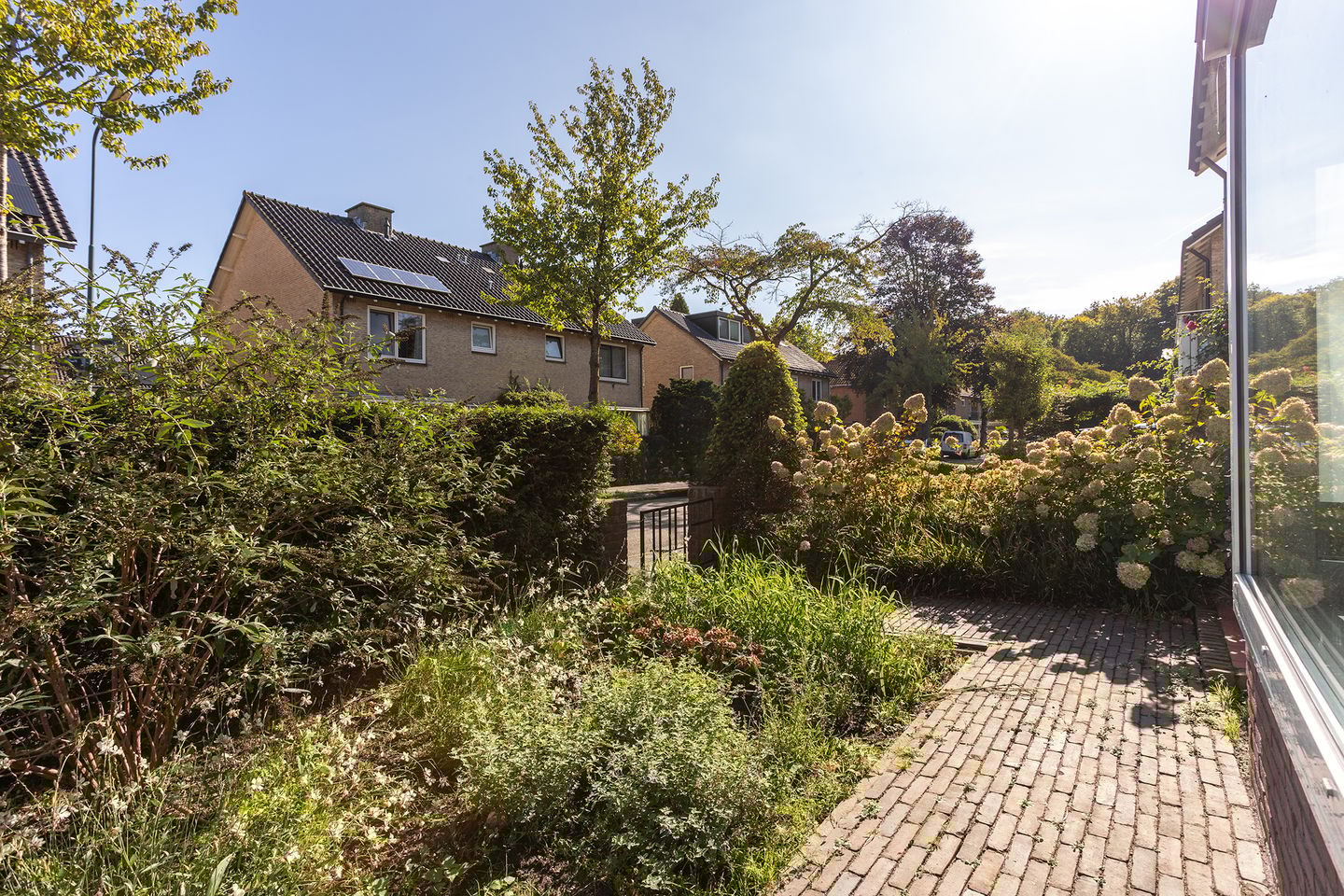 Foto 4 van van Ostadelaan 10