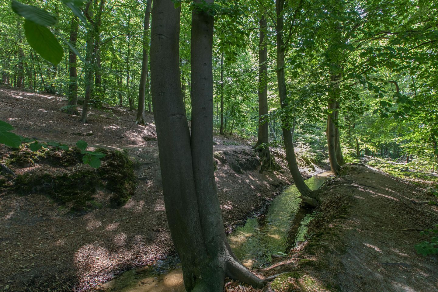 Foto 40 van Beekhuizenseweg 51