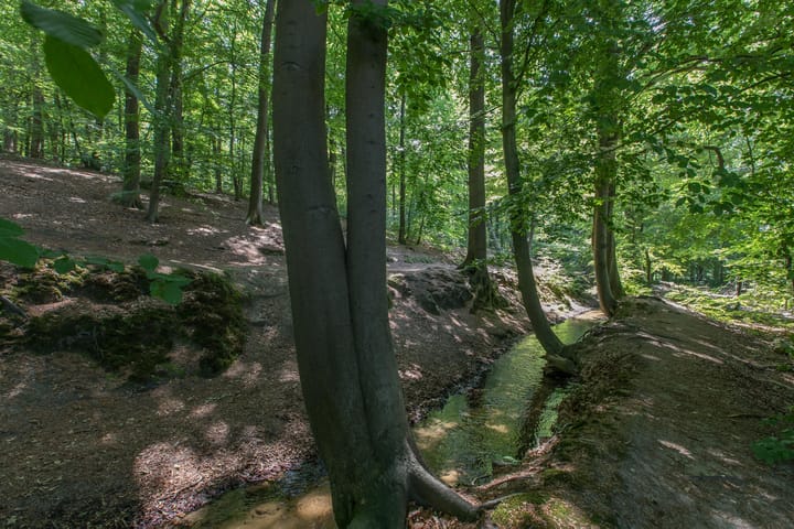 Foto 40 van Beekhuizenseweg 51