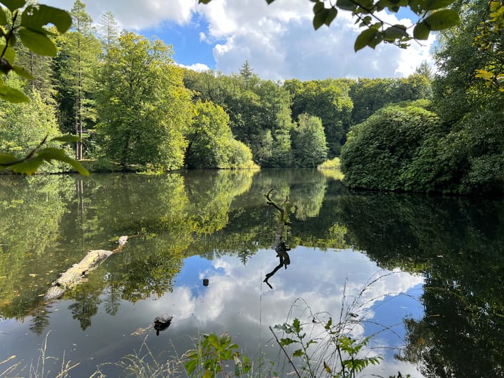 Foto 41 van Beekhuizenseweg 51