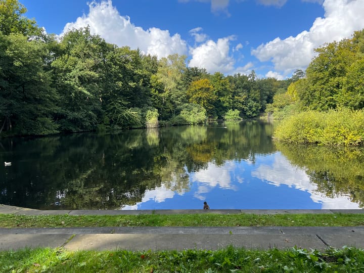 Foto 42 van Beekhuizenseweg 51