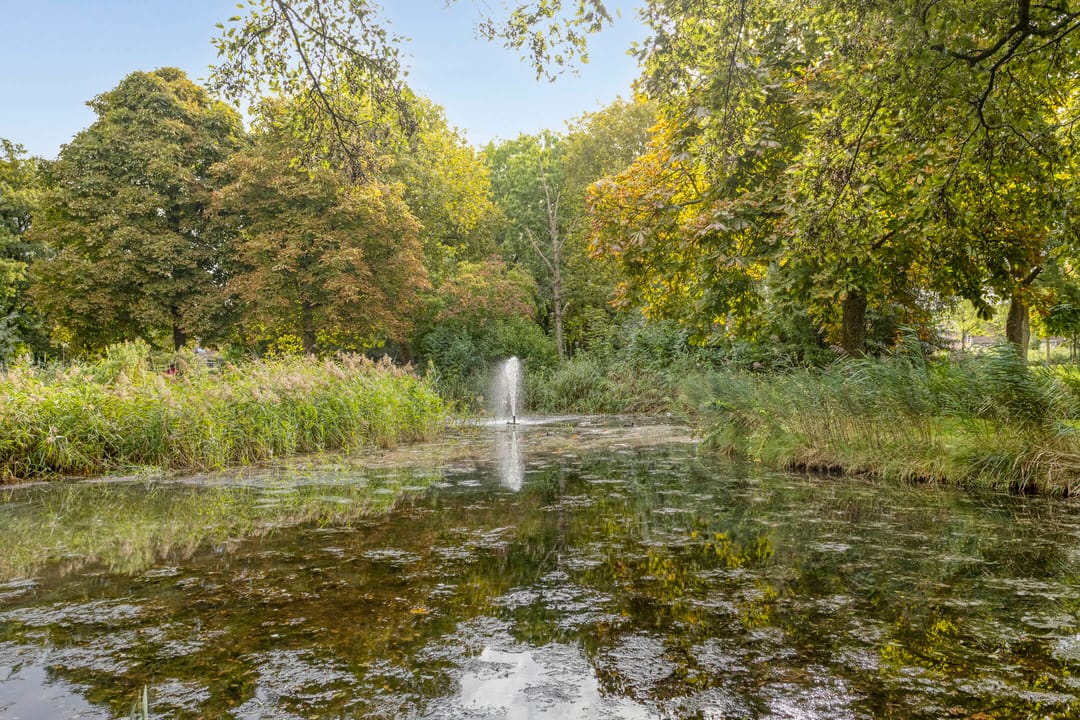 Foto 52 van Museumlaan 14