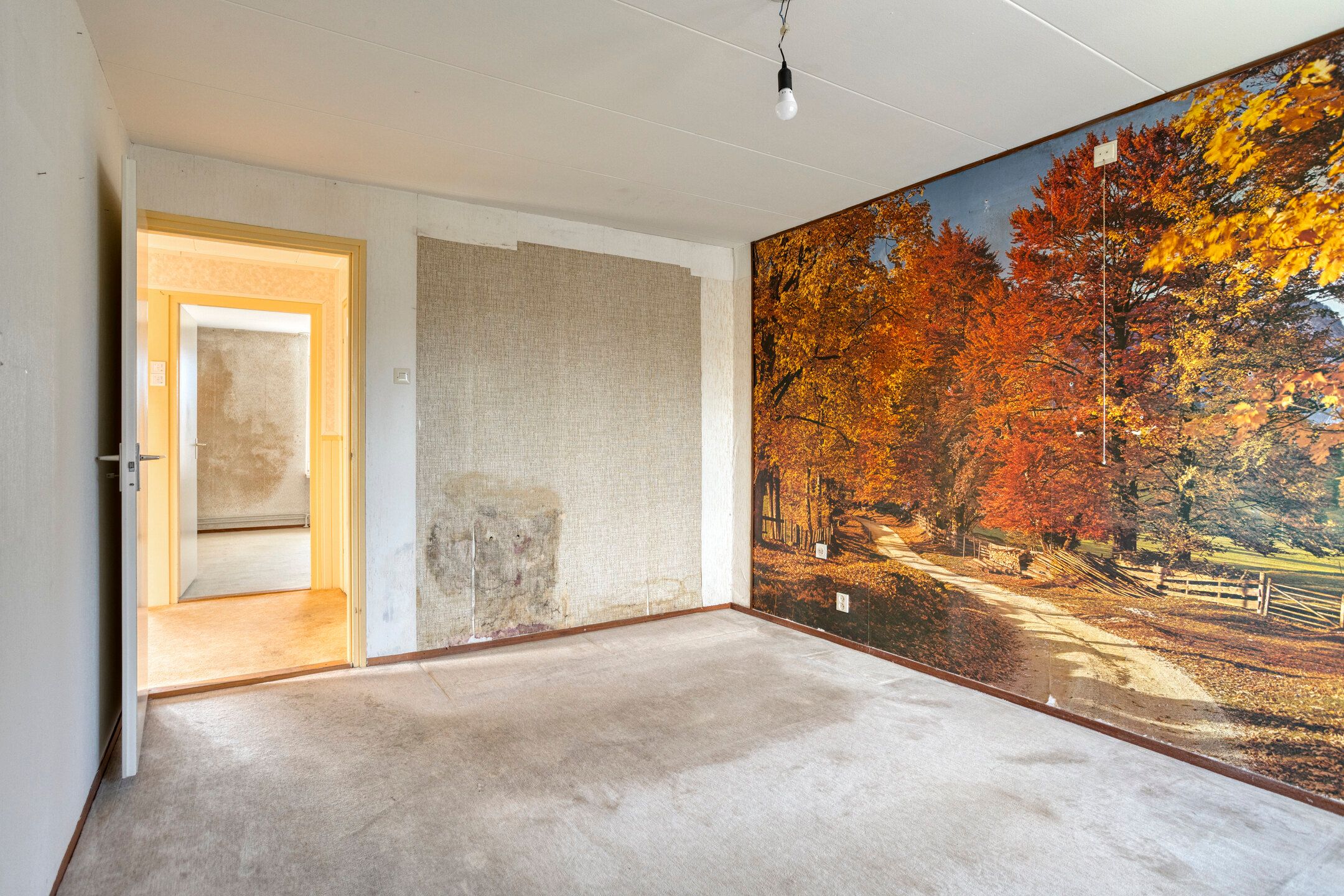 Foto 12 van Jan Tooropstraat 63