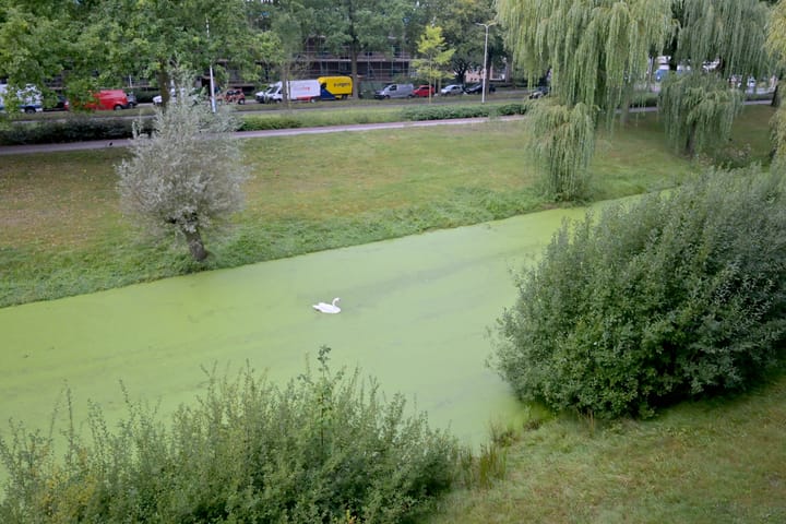 Foto 28 van Keizer Frederikstraat 51