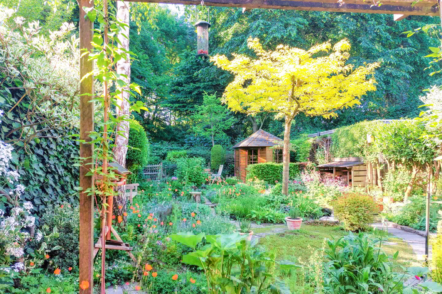 Photo 34 of Archipel 45 67