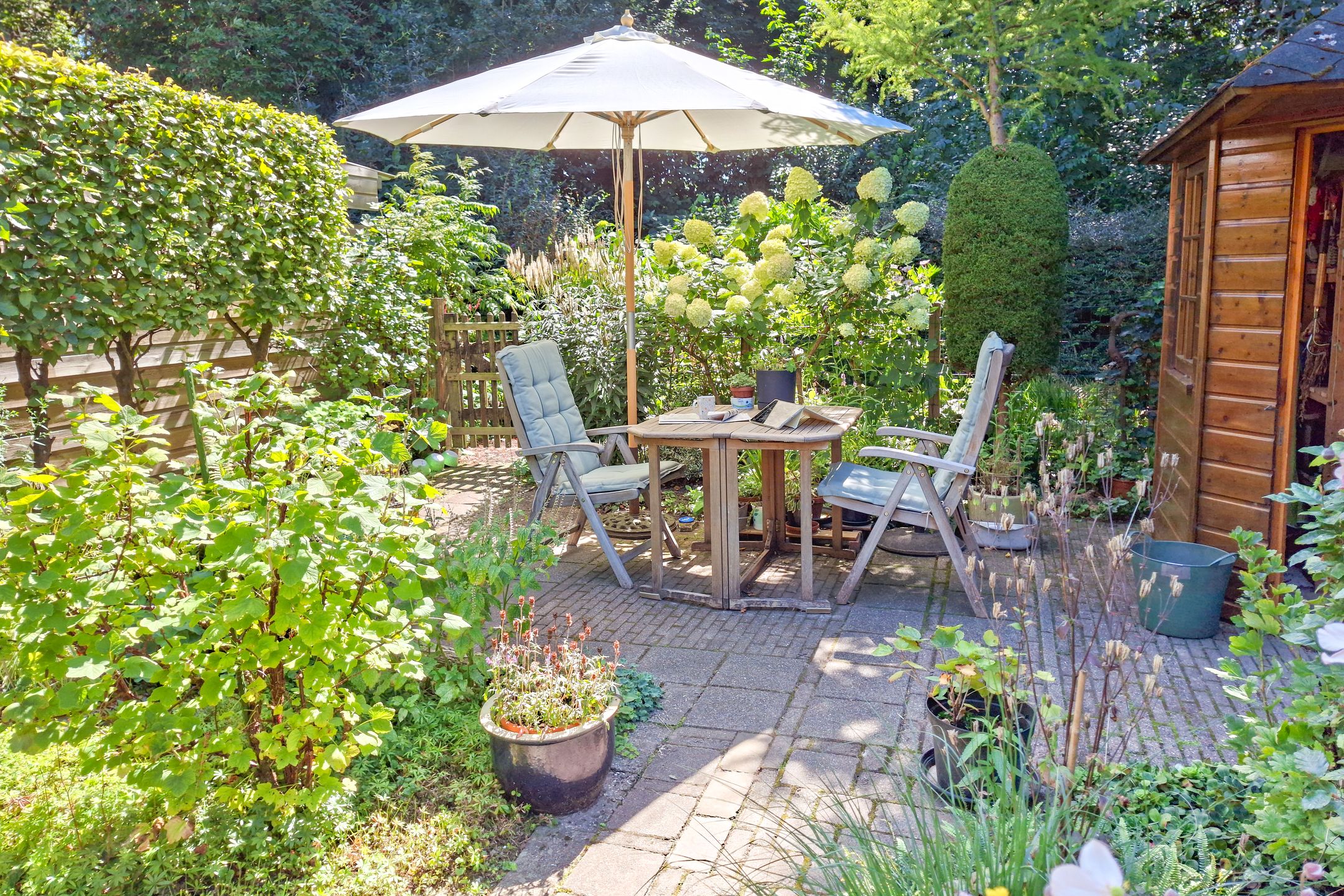 Photo 36 of Archipel 45 67