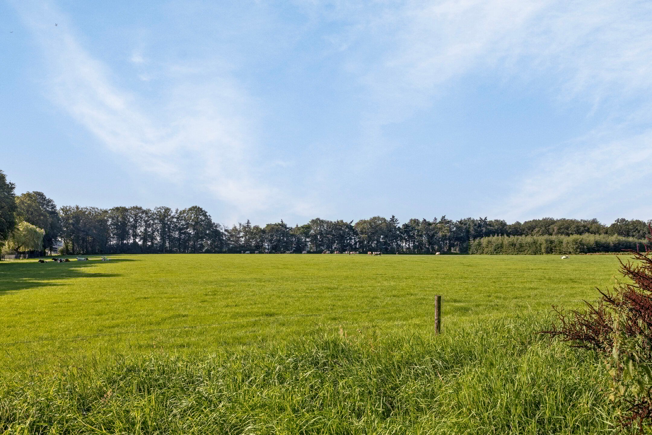 Foto 18 van Holterweg 52