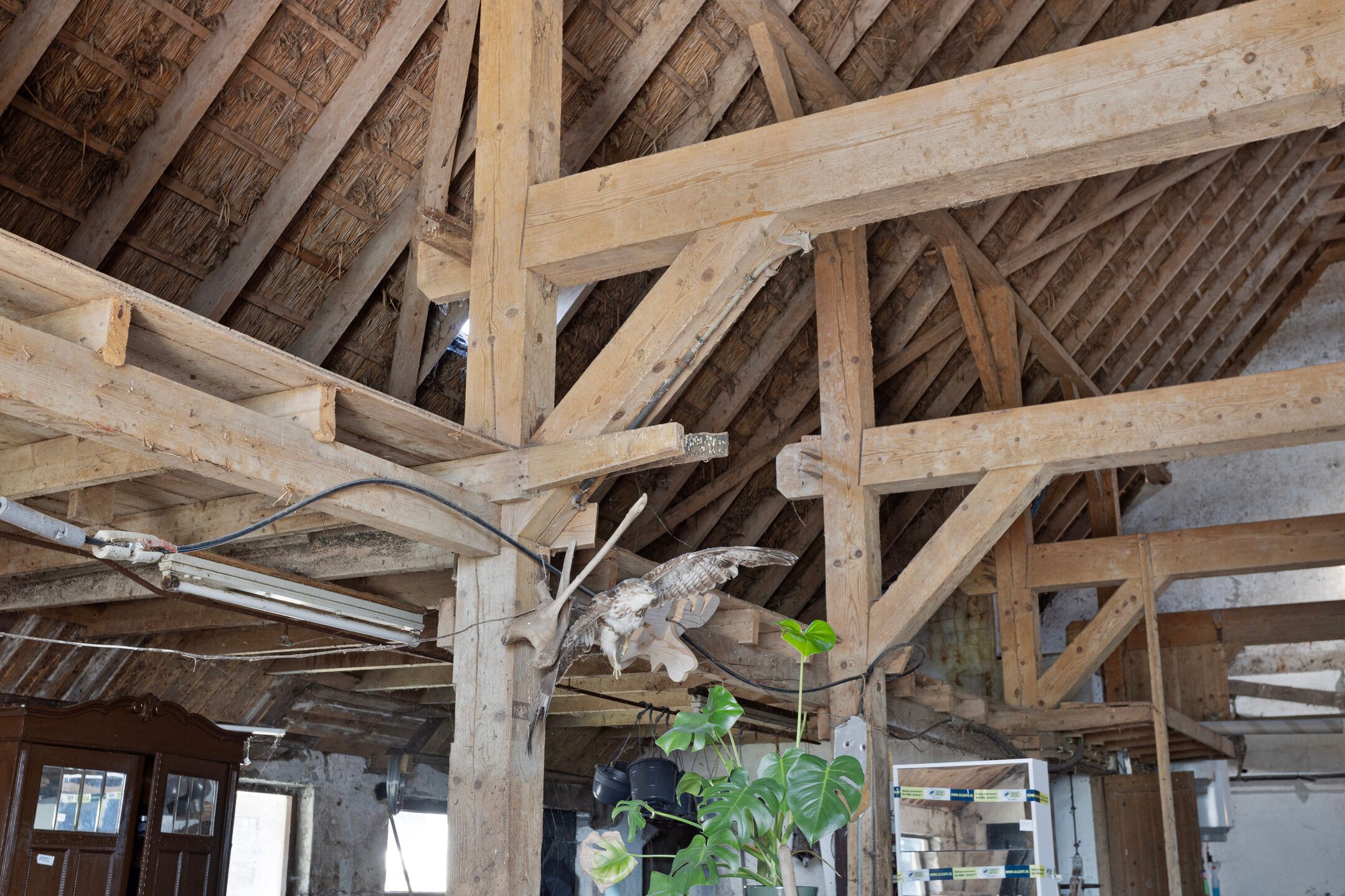 Foto 45 van Holterweg 52