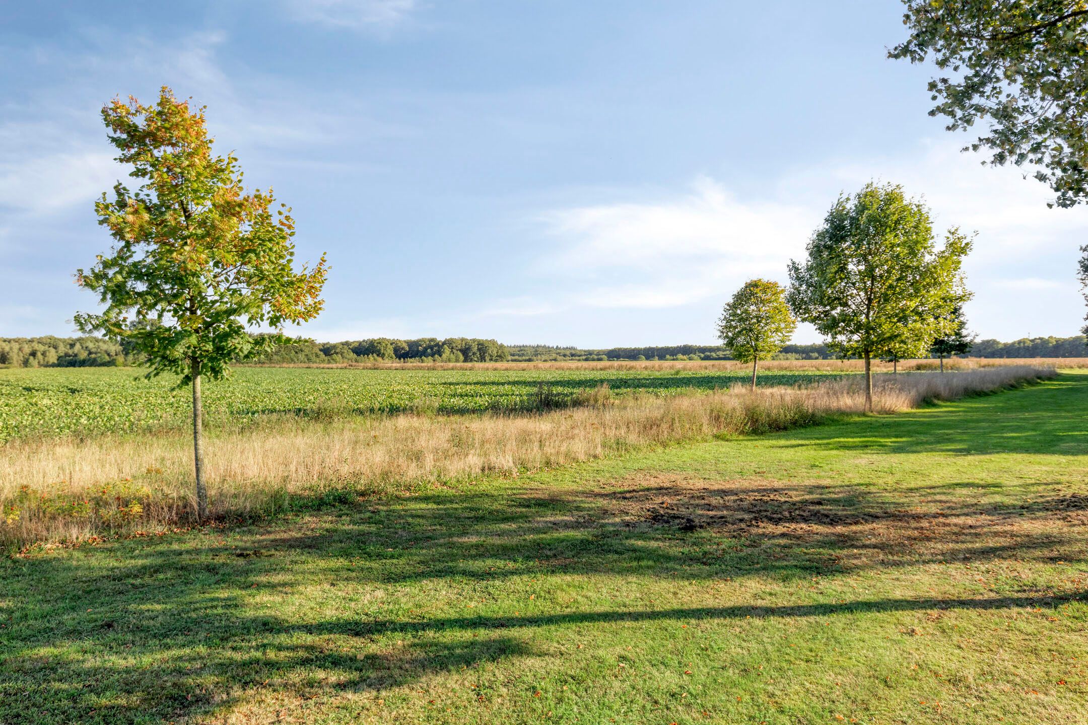 Foto 36 van Rusken 14