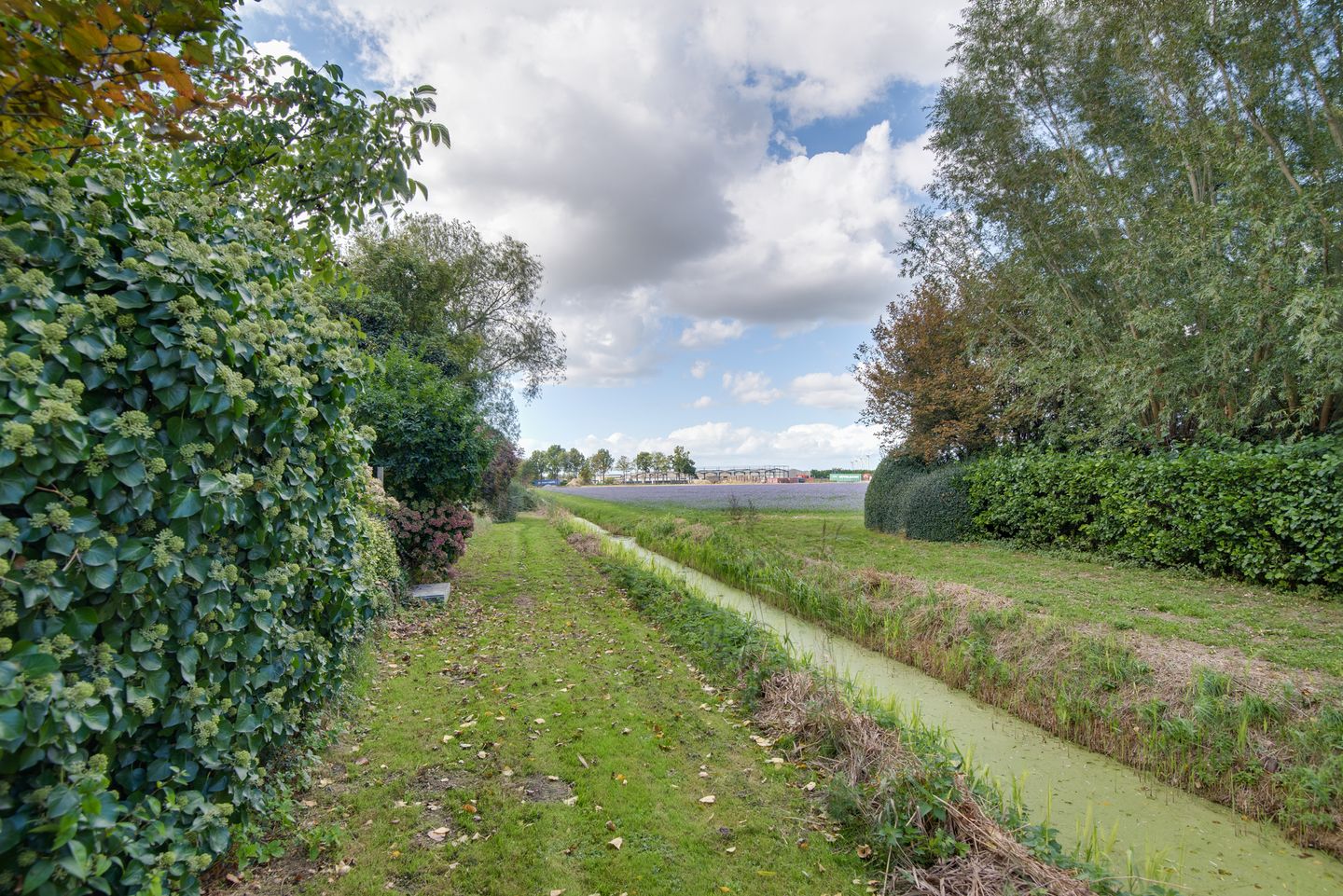 Photo 70 of Lieve Vrouwepoldersedijk 23