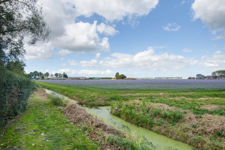 Foto 71 van Lieve Vrouwepoldersedijk 23