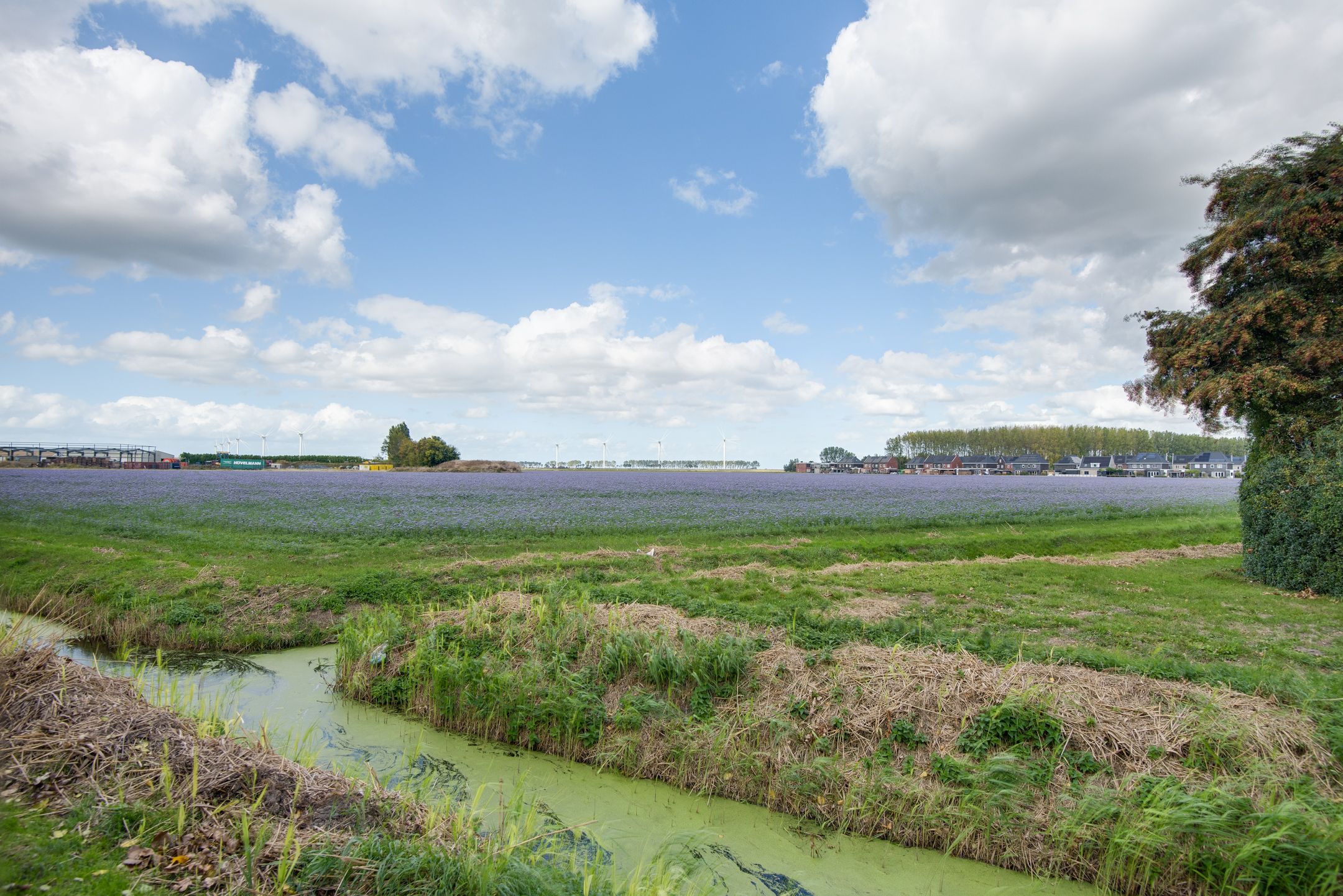 Photo 72 of Lieve Vrouwepoldersedijk 23