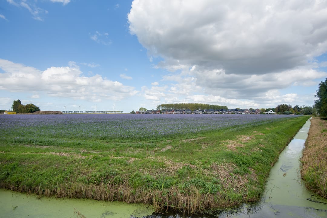 Photo 73 of Lieve Vrouwepoldersedijk 23