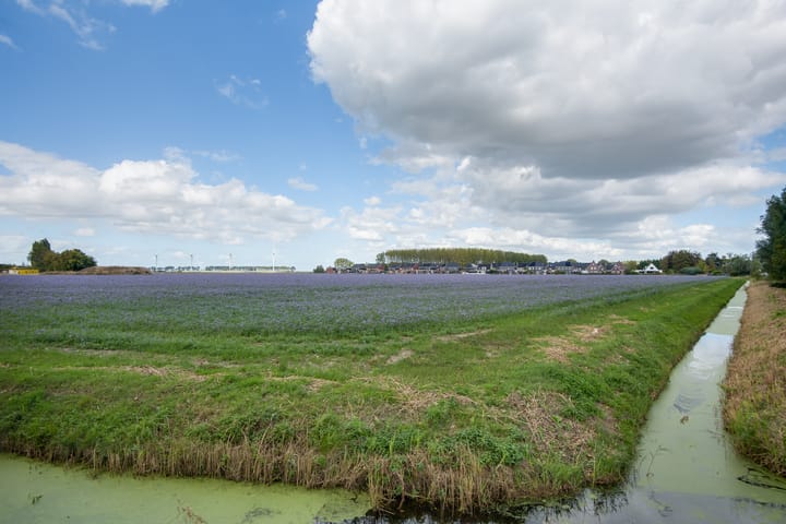 Foto 73 van Lieve Vrouwepoldersedijk 23