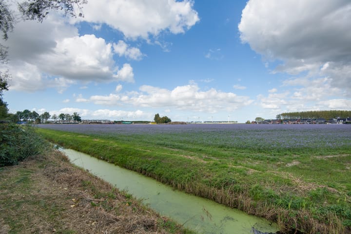 Foto 74 van Lieve Vrouwepoldersedijk 23