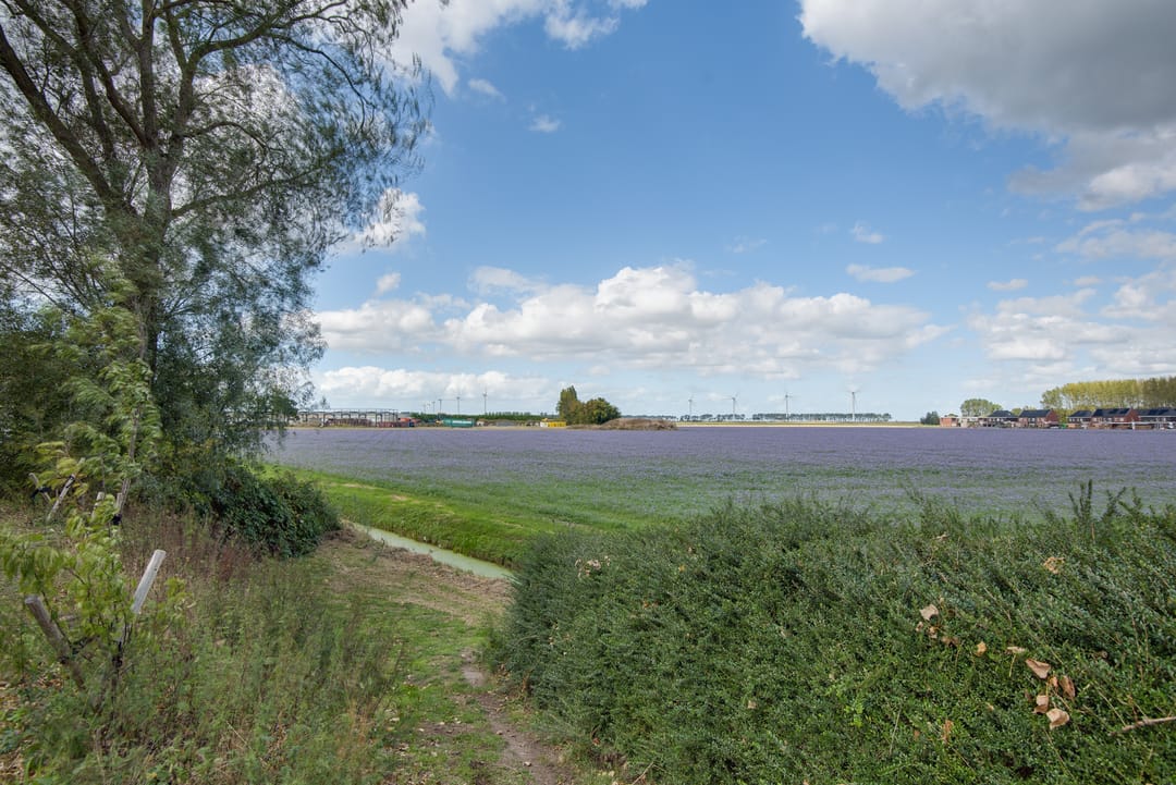 Photo 76 of Lieve Vrouwepoldersedijk 23