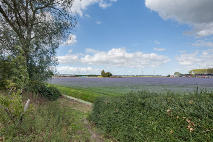 Foto 76 van Lieve Vrouwepoldersedijk 23