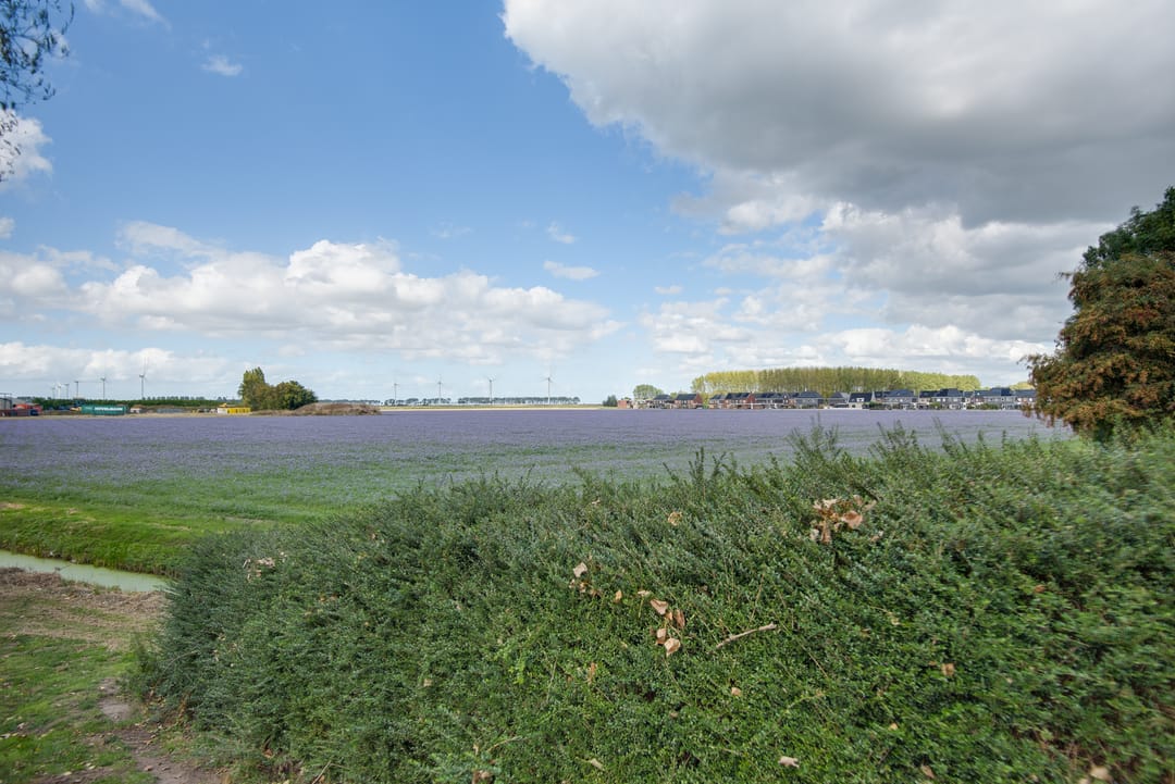 Photo 77 of Lieve Vrouwepoldersedijk 23