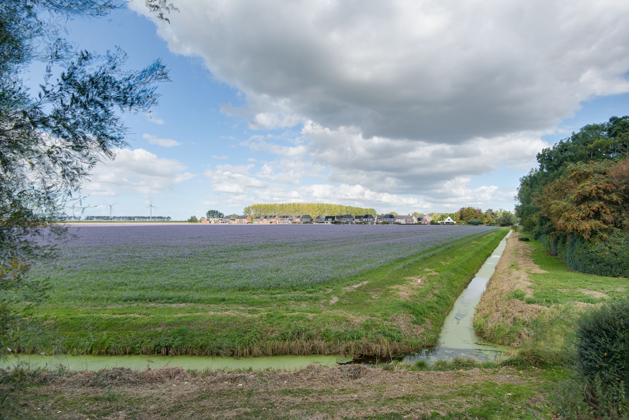 Photo 78 of Lieve Vrouwepoldersedijk 23