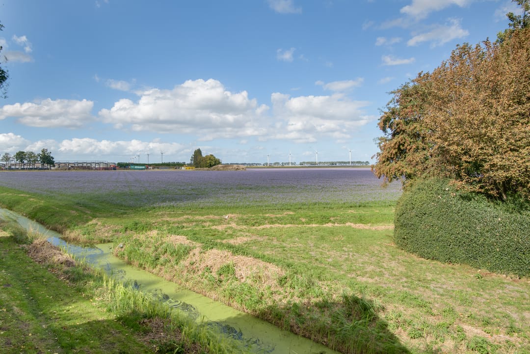 Photo 88 of Lieve Vrouwepoldersedijk 23